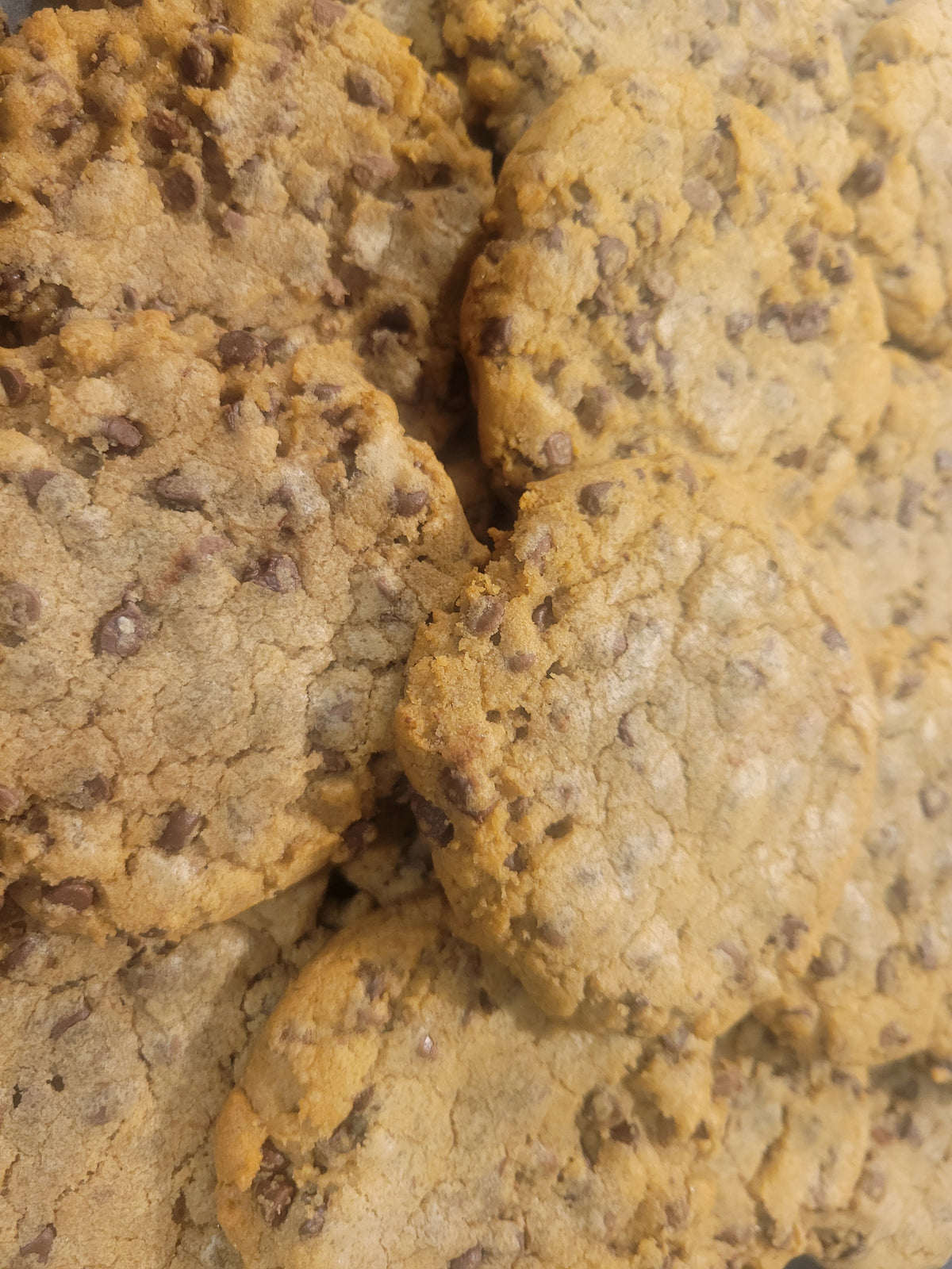Mini Chocolate Chip Cookies
