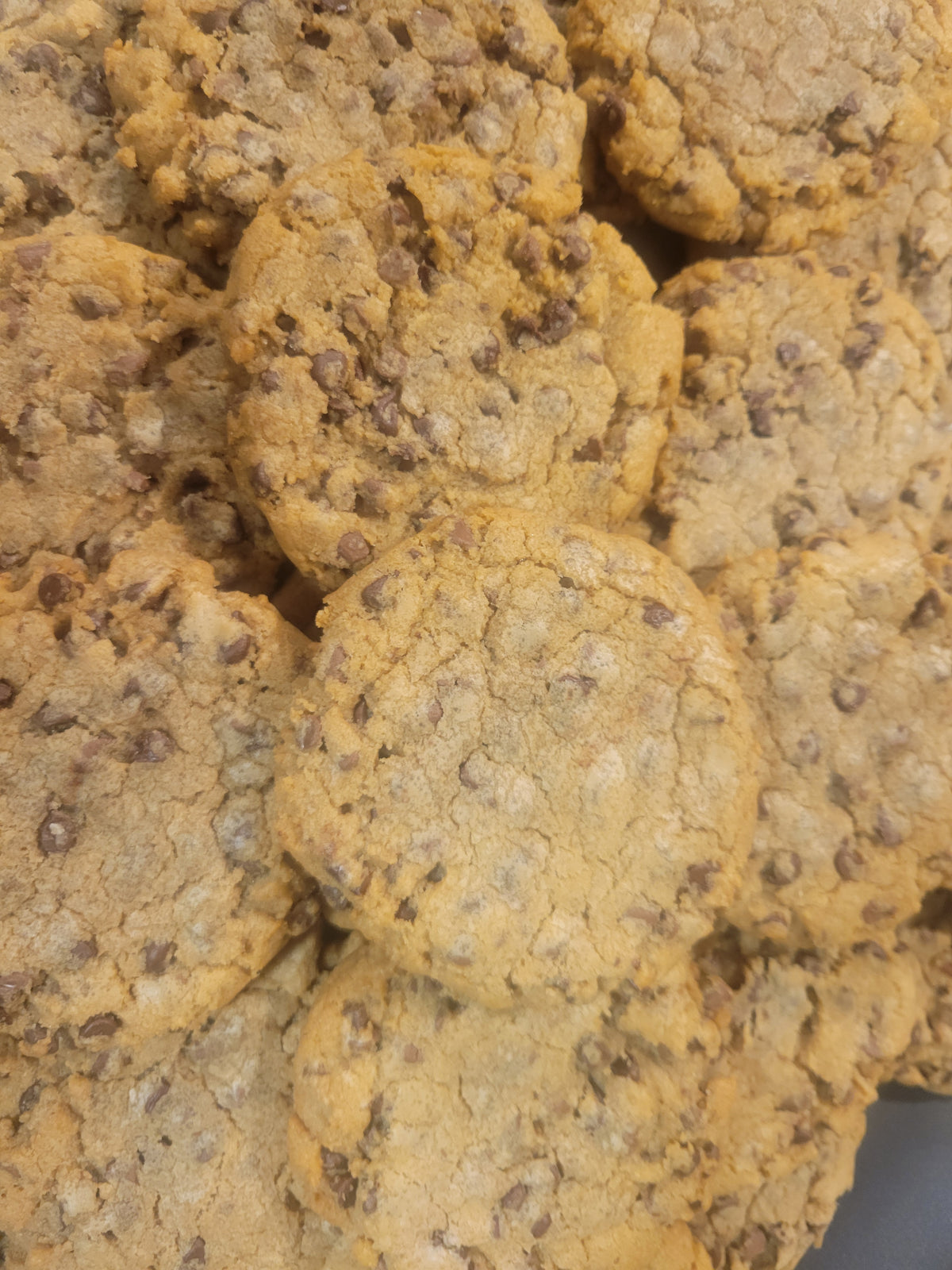 Mini Chocolate Chip Cookies
