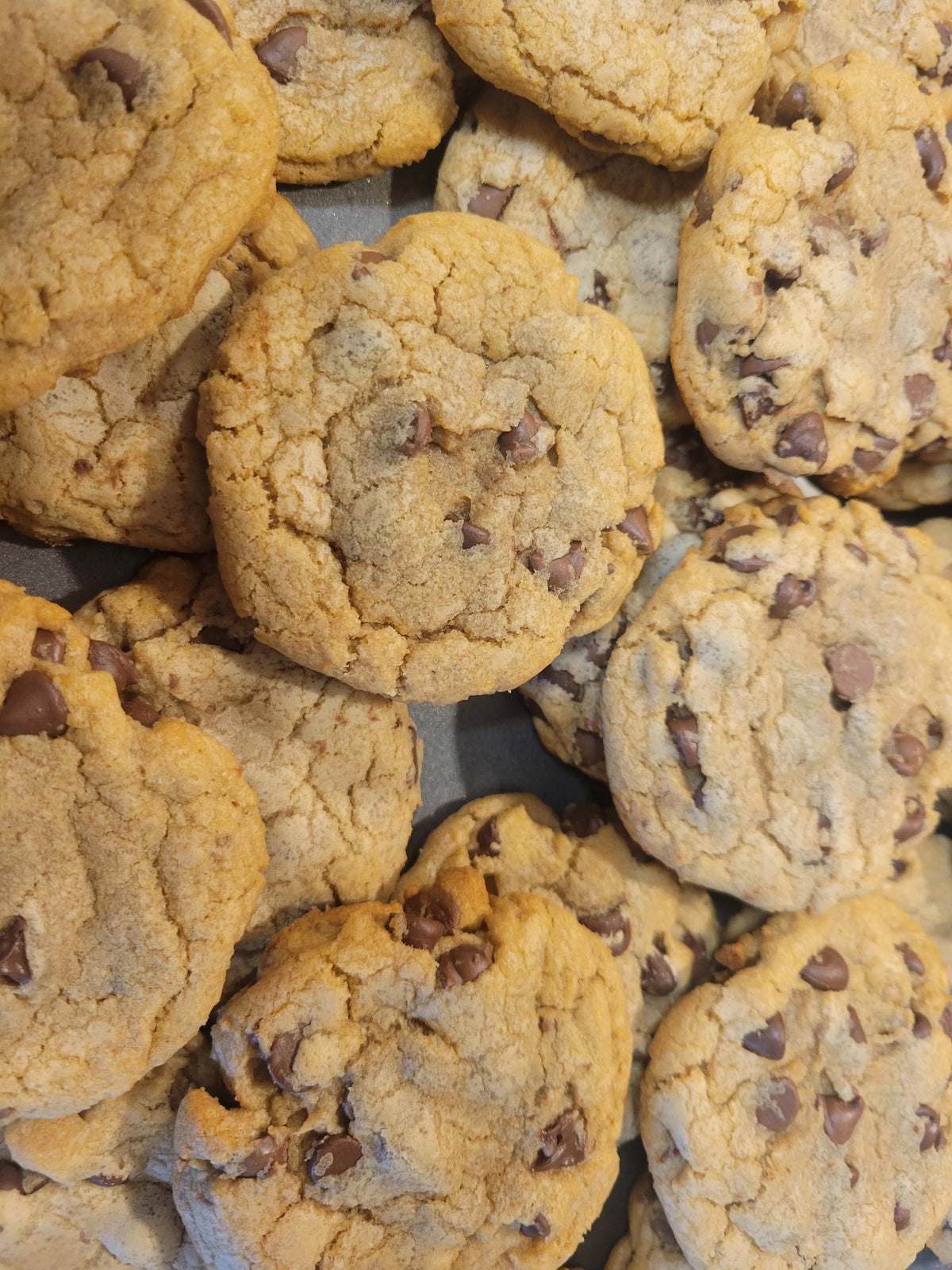 Chocolate Chip Cookie
