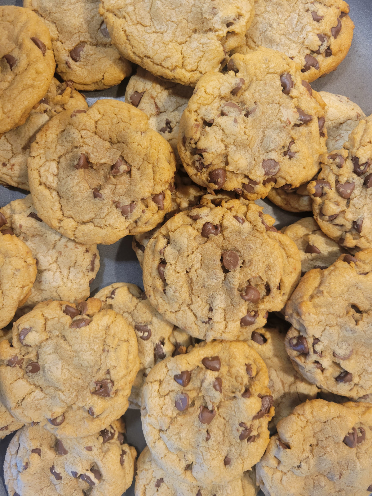 Chocolate Chip Cookie